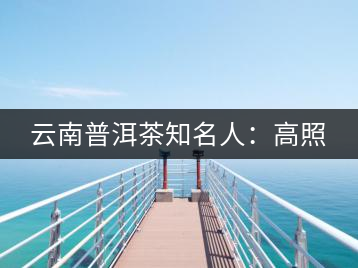 云南普洱茶知名人：高照