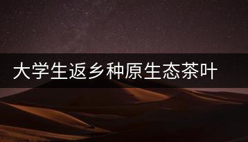 大學(xué)生返鄉(xiāng)種原生態(tài)茶葉 網(wǎng)上銷(xiāo)售獲好評(píng)
