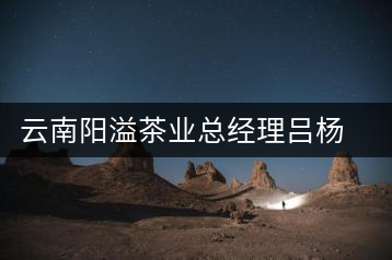 云南陽溢茶業(yè)總經(jīng)理呂楊陽訪談