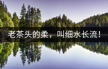 老茶頭的柔，叫細水長流！