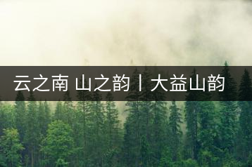 云之南 山之韻丨大益山韻，“韻”味傳奇之山韻歸來