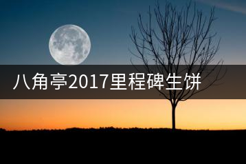 八角亭2017里程碑生餅，擁抱半個(gè)世紀(jì)的情懷