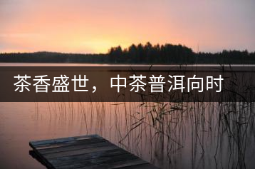 茶香盛世，中茶普洱向時代獻禮