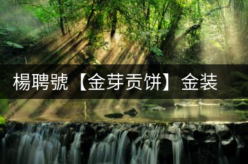 楊聘號(hào)【金芽貢餅】金裝盛開(kāi)