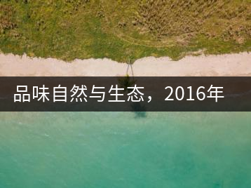 品味自然與生態(tài)，2016年勐傣“大雪山古樹茶”