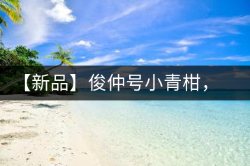 【新品】俊仲號小青柑，青果來傾城