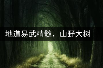 地道易武精髓，山野大樹珍品—普秀易武生態(tài)喬木圓茶即將上市