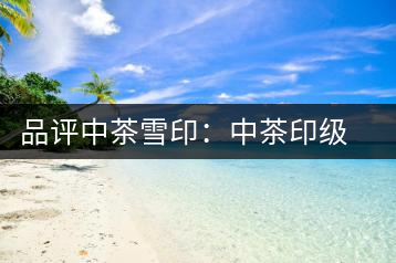 品評中茶雪?。褐胁栌〖壊璧慕?jīng)典傳承