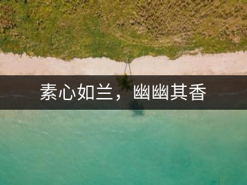 素心如蘭，幽幽其香