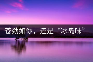 蒼勁如你，還是“冰島味”嗎？