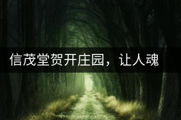 信茂堂賀開莊園，讓人魂牽夢繞的名山古樹茶