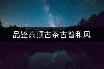 品鑒高頂古茶古普和風