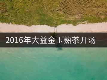 2016年大益金玉熟茶開湯品鑒