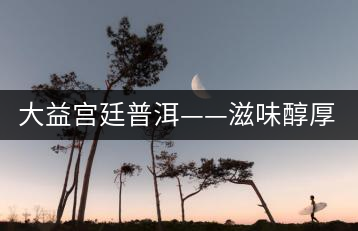 大益宮廷普洱——滋味醇厚，陳香濃郁