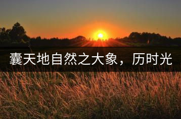 囊天地自然之大象，歷時光十載流轉(zhuǎn)-皇茶一號