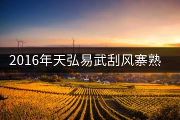 2016年天弘易武刮風(fēng)寨熟茶一泡耐人尋味！