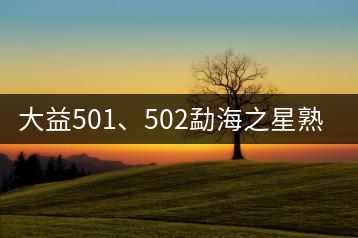 大益501、502勐海之星熟茶