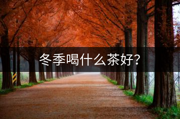 冬季喝什么茶好？