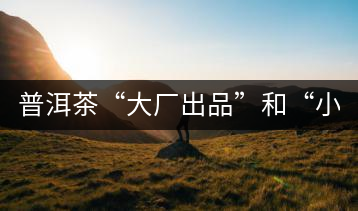 普洱茶“大廠出品”和“小作坊”，哪一個(gè)更值得購(gòu)買？
