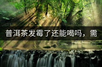 普洱茶發(fā)霉了還能喝嗎，需要怎么處理？