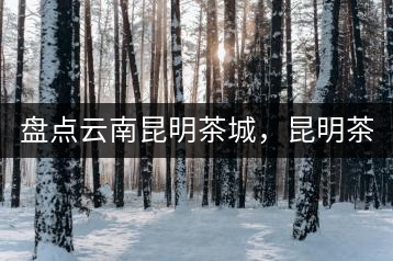 盤點(diǎn)云南昆明茶城，昆明茶葉市場(chǎng)哪個(gè)好？昆明茶葉市場(chǎng)有哪些？