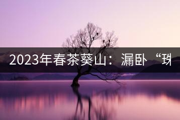 2023年春茶葵山：漏臥“珠江紅：1200元-3200元（有3個檔次）漏臥“大廠茶”：古樹單株8600-9000元／公斤，中樹4800-5200元／公斤，小樹混采2600-2800元／公斤。