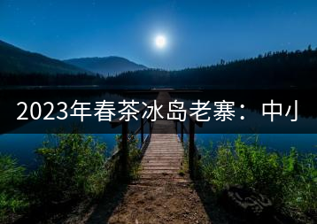 2023年春茶冰島老寨：中小樹混采2500-3000元／公斤，大樹：7000-8000元／公斤，古樹混采：28000-36000元／公斤