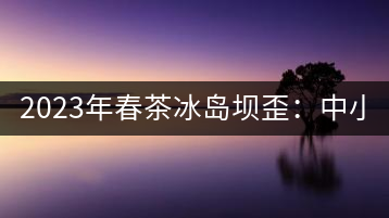 2023年春茶冰島壩歪：中小樹800元／公斤，古樹1400-1600元／公斤