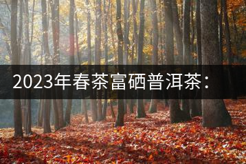 2023年春茶富硒普洱茶：1.富硒有機(jī)手工生普，市場(chǎng)指導(dǎo)價(jià)800元／公斤；2.富硒有機(jī)一級(jí)紅茶，市場(chǎng)指導(dǎo)價(jià)800元／公斤；3.富硒有機(jī)熟普餅，市場(chǎng)指導(dǎo)價(jià)1000元／公斤；4.富硒有機(jī)月光白茶，市場(chǎng)指導(dǎo)價(jià)800元／公斤。