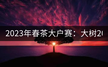 2023年春茶大戶賽：大樹(shù)200-300元／公斤，古樹(shù)800-1000元／公斤