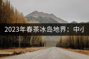 2023年春茶冰島地界：中小樹1300-1500元／公斤，古樹2200~2500元／公斤