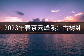 2023年春茶云峰溪：古樹(shù)純料：1200-1500元／公斤，古樹(shù)混采800-1000元／公斤，大樹(shù)500-800元／公斤，小樹(shù)300-500元／公斤