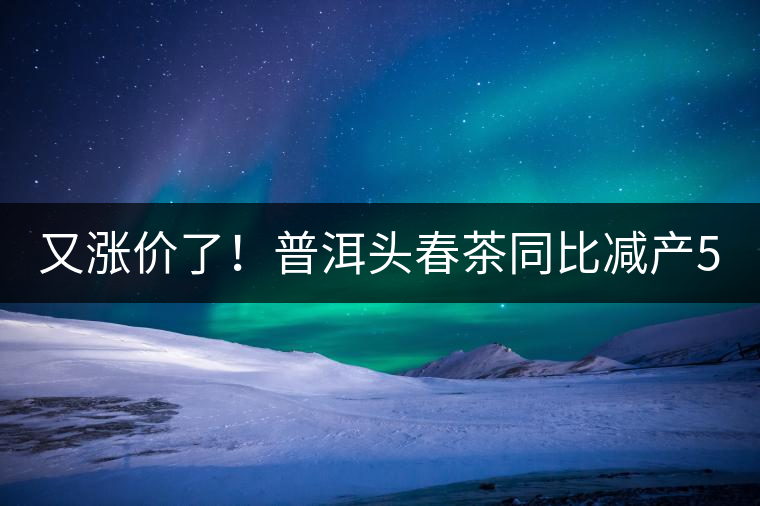 又漲價了！普洱頭春茶同比減產50%，薄荷塘一類鮮葉需當面議價