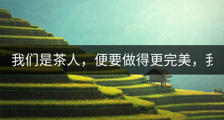 我們是茶人，便要做得更完美，我們是茶客，便要懂得沉默...我們是茶人，便要做得更完美，我們是茶客，便要懂得沉默！