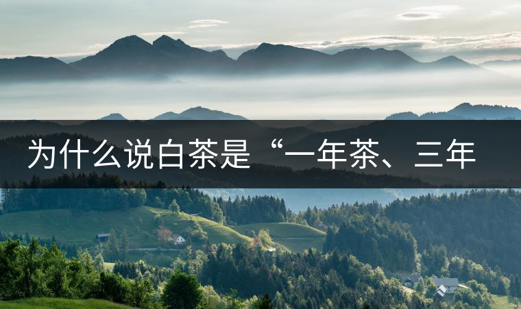 為什么說白茶是“一年茶、三年藥、七年寶”?為什么說白茶是“一年茶、三年藥、七年寶”？