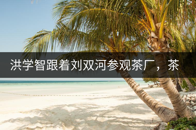 洪學(xué)智跟著劉雙河參觀茶廠,茶廠黃老板對賣苦力的百姓百般欺凌 洪學(xué)智跟著劉雙河參觀茶廠,茶廠黃老板對賣苦力的百姓百般欺凌