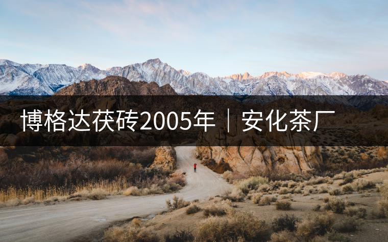 博格達(dá)茯磚2005年｜安化茶廠定制款，金花滿披，梅山韻濃！