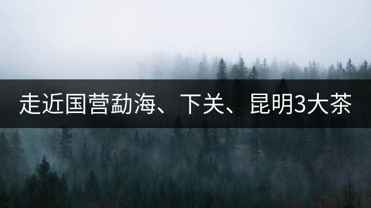 走近國營勐海、下關、昆明3大茶廠，傳世代表作的發(fā)展詳...走近國營勐海、下關、昆明3大茶廠，傳世代表作的發(fā)展詳解