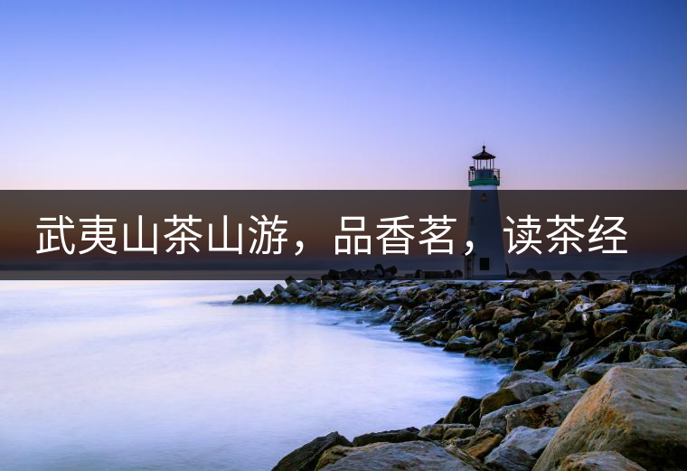 武夷山茶山游，品香茗，讀茶經(jīng)，賞茶景，學(xué)茶歷史!武夷山茶山游，品香茗，讀茶經(jīng)，賞茶景，學(xué)茶歷史！