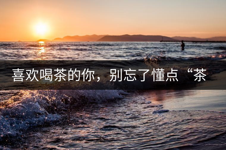 喜歡喝茶的你，別忘了懂點“茶歷史”喜歡喝茶的你，別忘了懂點“茶歷史”