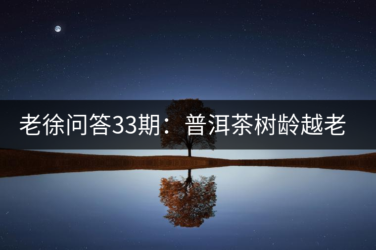 老徐問答33期：普洱茶樹齡越老越貴，那100年樹齡的老班章呢？