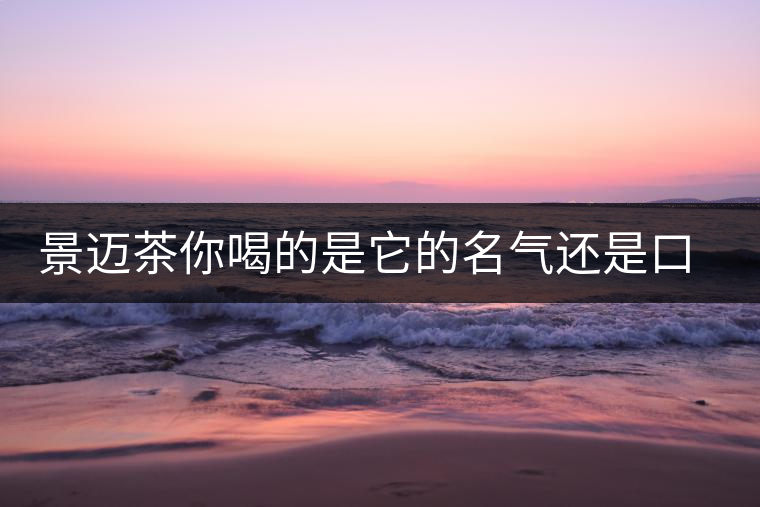 景邁茶你喝的是它的名氣還是口感