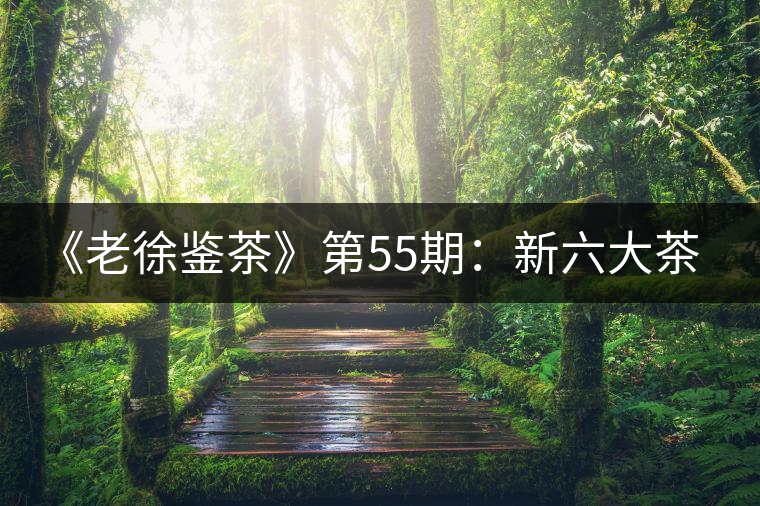 《老徐鑒茶》第55期：新六大茶山景邁山2017年普洱茶生茶品鑒報(bào)告