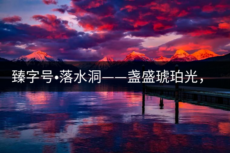 臻字號?落水洞——盞盛琥珀光，柔甜入人心