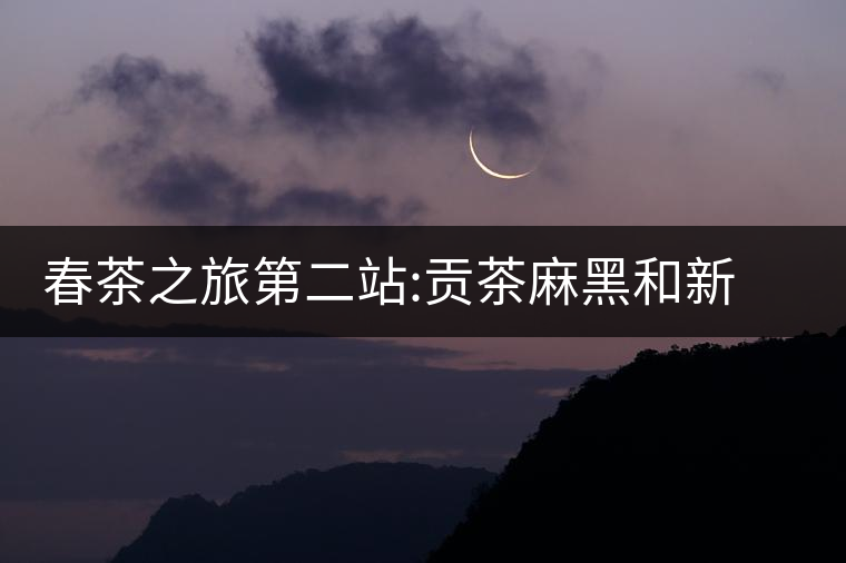 春茶之旅第二站:貢茶麻黑和新秀落水洞春茶之旅第二站：貢茶麻黑和新秀落水洞