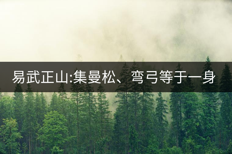易武正山:集曼松、彎弓等于一身的貴族老黃片，好喝沒得...易武正山：集曼松、彎弓等于一身的貴族老黃片，好喝沒得說