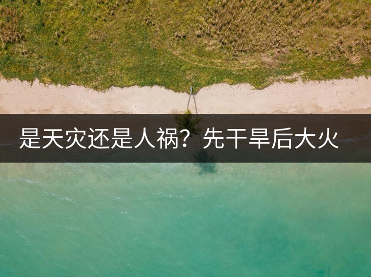 是天災還是人禍？先干旱后大火，普洱茶將何去何從？