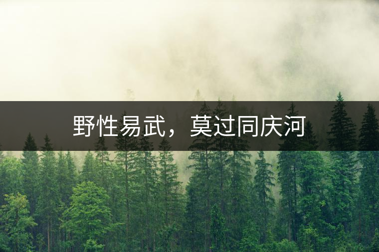 野性易武，莫過同慶河
