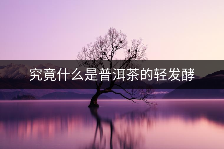 究竟什么是普洱茶的輕發(fā)酵 究竟什么是普洱茶的輕發(fā)酵