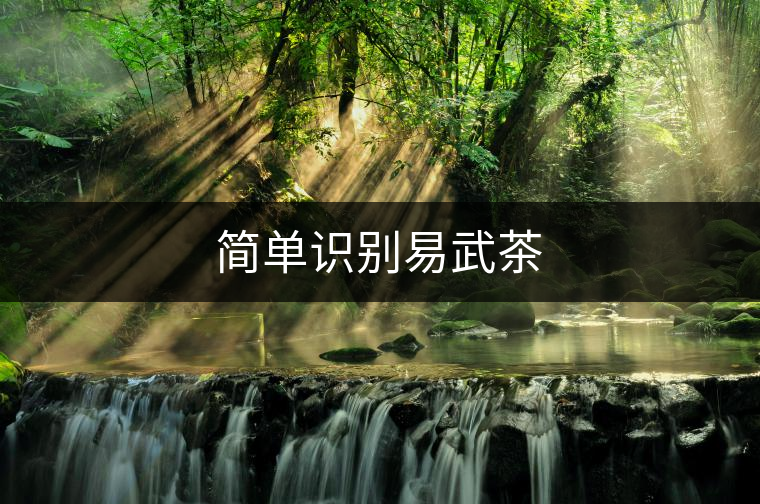簡單識別易武茶 簡單識別易武茶